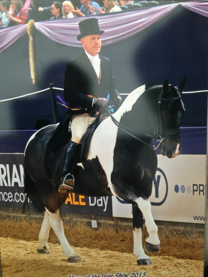 The Life of Riley 2nd heavyweight cobs HOYS 2013